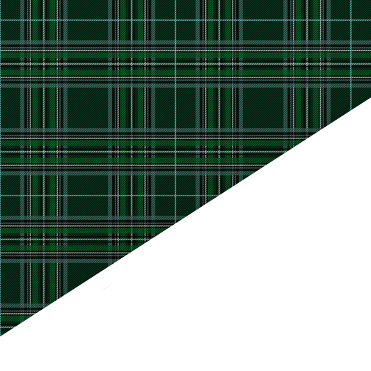 Tartan Canvas And Felt Backed Fabric - SKU I73